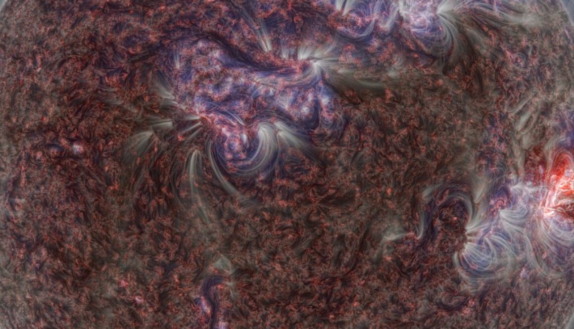 Image from The Sun, Our Living Star