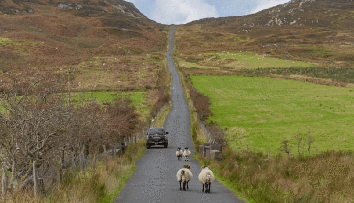 Screenshot 2025-12-08 175035