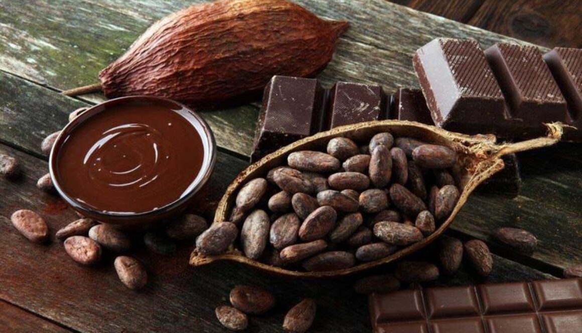 csm_AdobeStock-188429416_kakaobohnen-schokolade-und-geschmolzene-schokolade_dcf91a4a55
